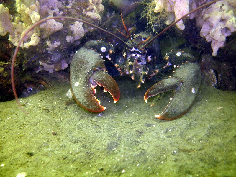07 ZL 006.JPG